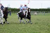 UKPA  NC Sat_1434